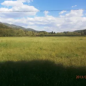 Земельный участок в Сивота, фото 4