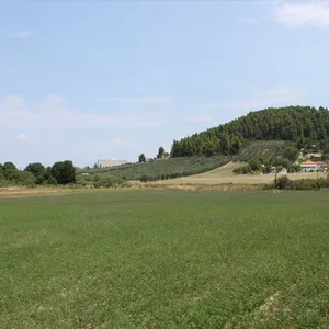 Земельный участок в Kassandra Municipality, фото 5
