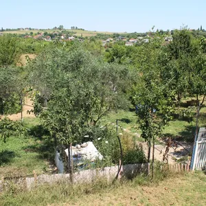 Отдельный дом в Катерини, фото 5