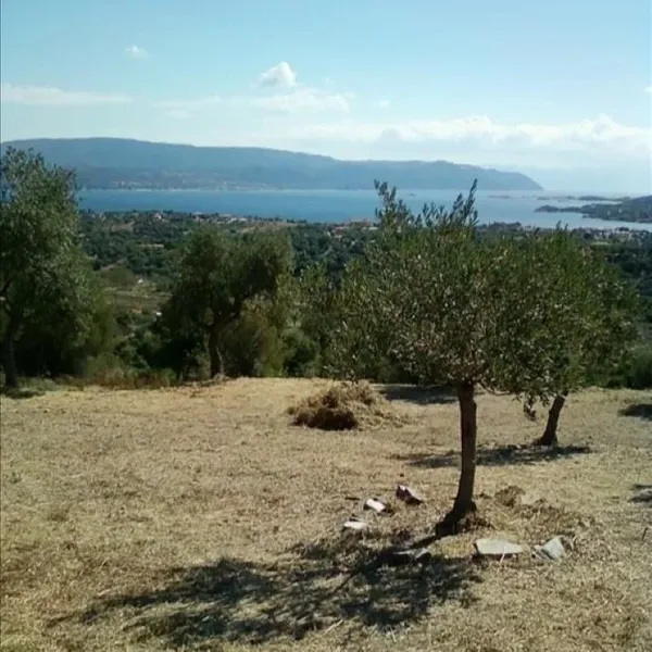 Земельный участок в Aristotle University of Thessaloniki, фото 1