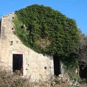 Дом в Бечичи, фото 4