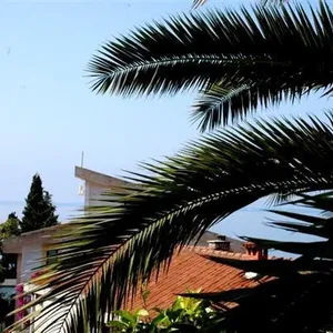 Отдельный дом в Бечичи, фото 4