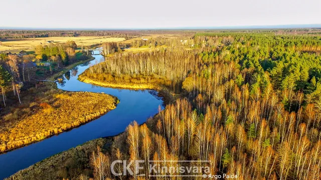 Земельный участок в Ляэнисте