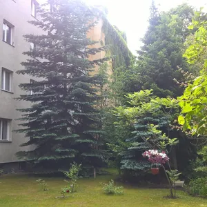 Квартира в Берлин, фото 2