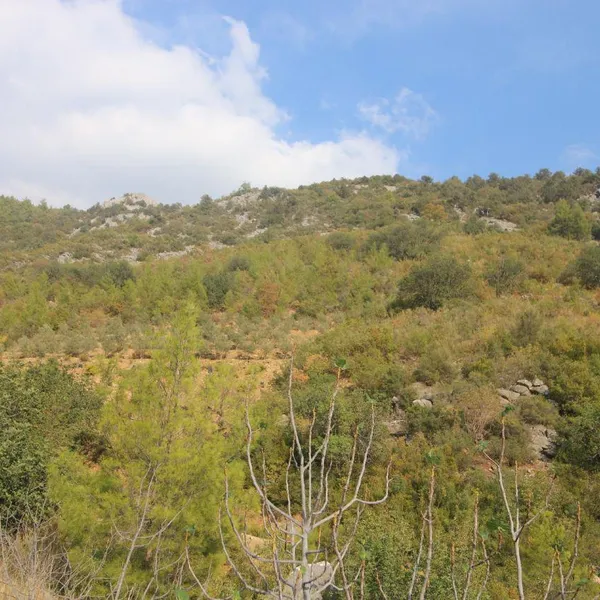 Земельный участок в Şekerhane Махаллеси, фото 1