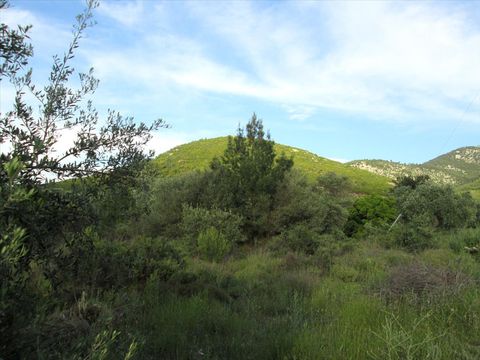 Земельный участок в Тасос