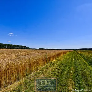 Земельный участок в Тарту, фото 3