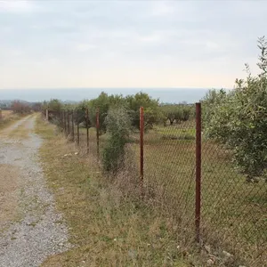 Земельный участок в Дион, фото 5