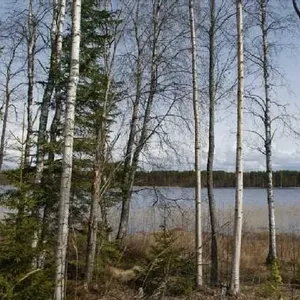 Земельный участок в Савонлинна, фото 5