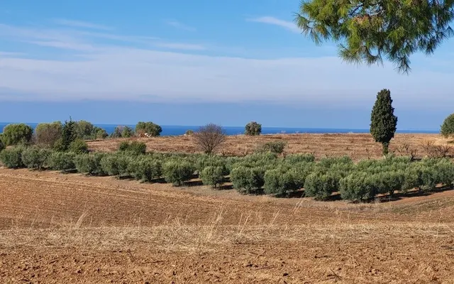 Земельный участок в Kassandra Municipality