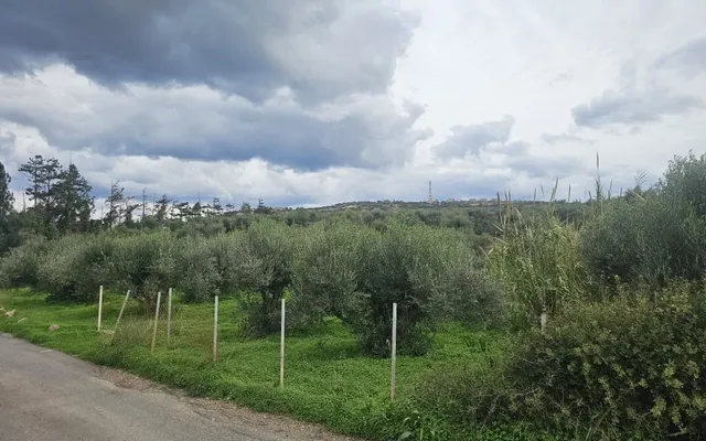 Земельный участок в Врахасион