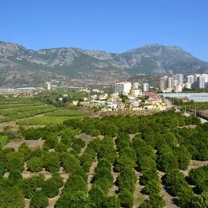 Квартира в Алания, фото 4