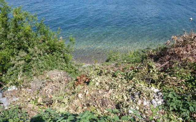 Земельный участок в Черногория