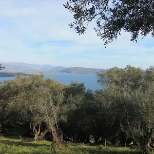 Земельный участок в Corfu, фото 4