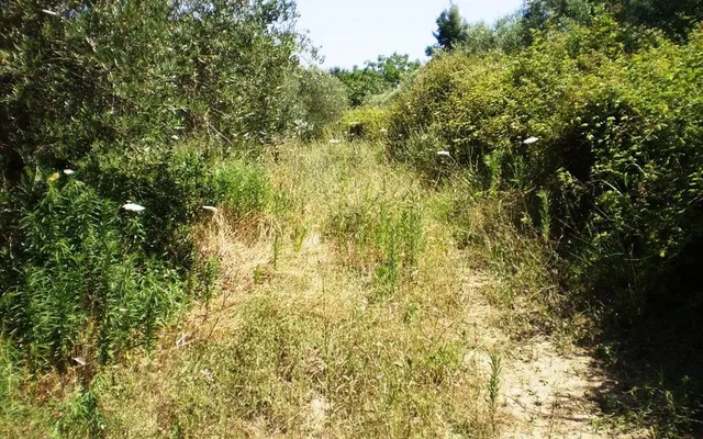 Земельный участок в Kassandra Municipality