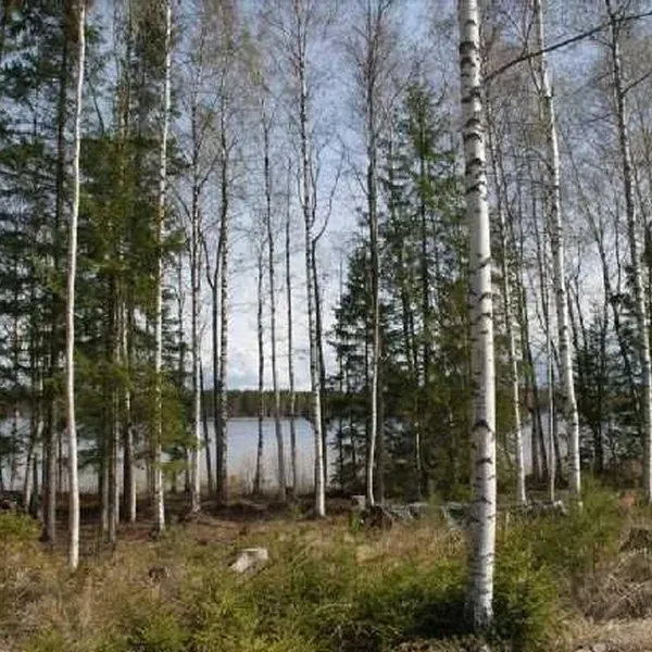 Земельный участок в Савонлинна, фото 1