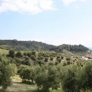 Земельный участок в Kassandra Municipality, фото 3