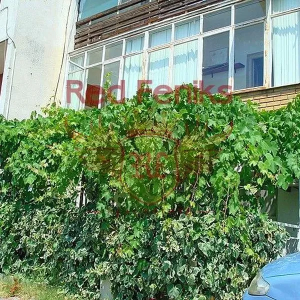 Квартира в Будва, фото 1
