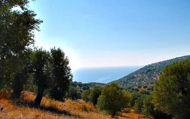 Земельный участок в Kassandra Municipality