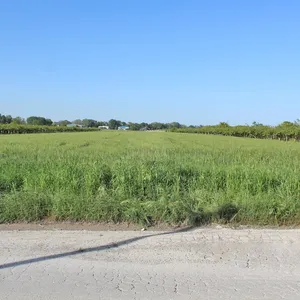 Земельный участок в Катерини, фото 2