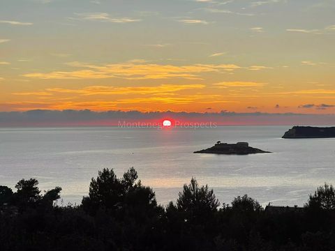 Земельный участок в Жаница