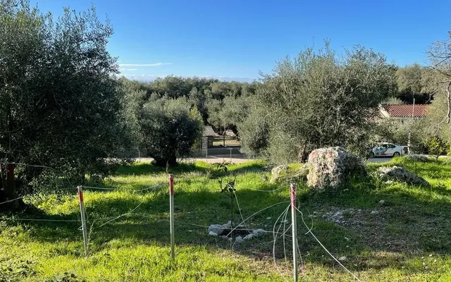 Земельный участок в Corfu