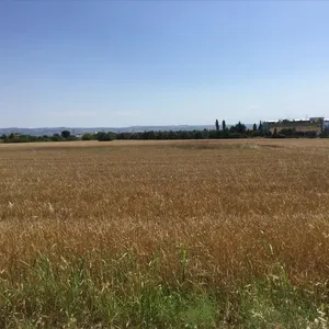 Земельный участок в Терми, фото 4