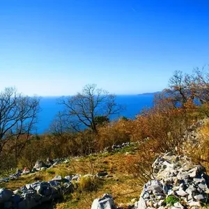 Земельный участок в Режевичи, фото 4