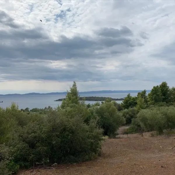 Земельный участок в Ситониа, фото 1