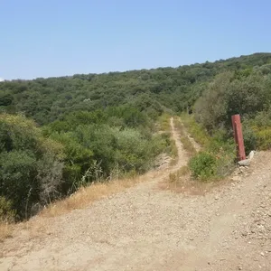 Земельный участок в Aristotle University of Thessaloniki, фото 2