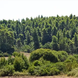 Земельный участок в Kassandra Municipality, фото 4