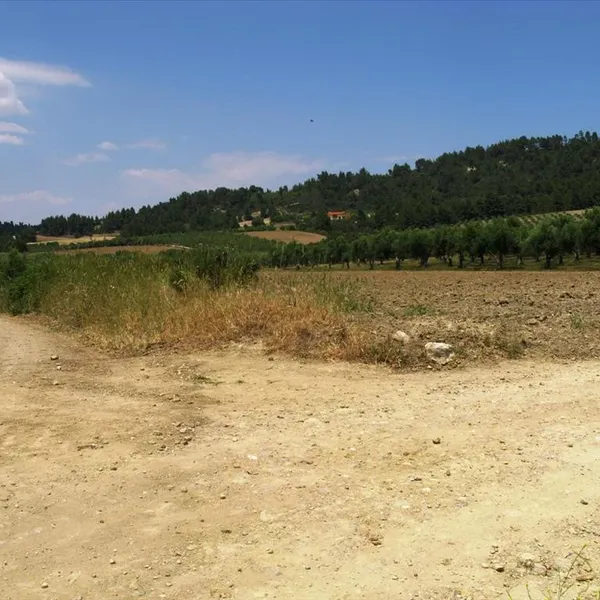 Земельный участок в Kassandra Municipality, фото 1