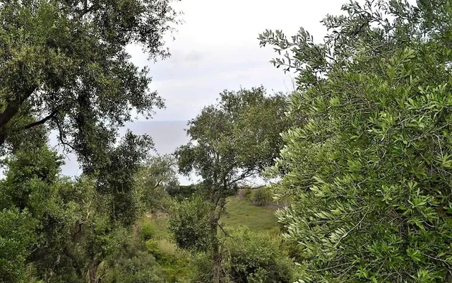 Земельный участок в Corfu