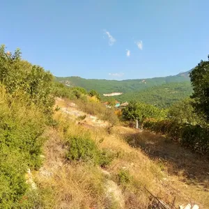 Земельный участок в Тасос, фото 4