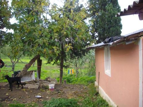 Квартира в Галаро