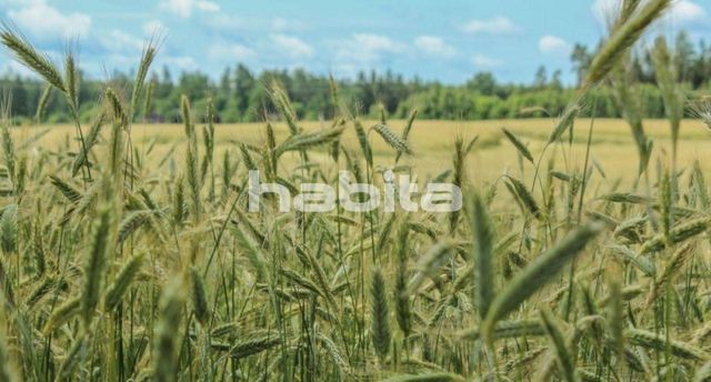 Земельный участок в Огресгала пагас