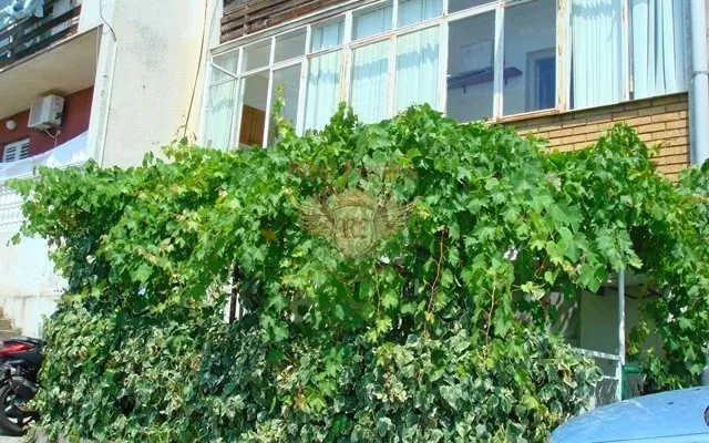 Квартира в Будва