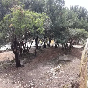 Земельный участок в Corfu, фото 5