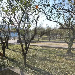 Дом в Херцег-Нови, фото 5
