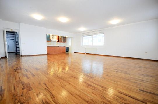 Дуплекс в Любляна