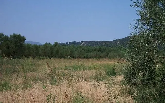 Земельный участок в Афины