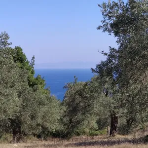 Земельный участок в Ситониа, фото 2