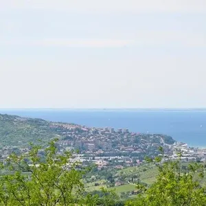 Земельный участок в Копер, фото 4