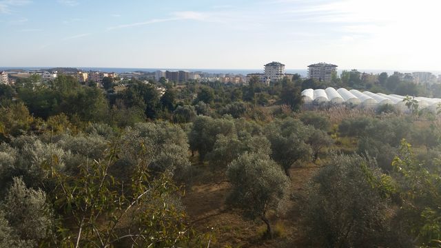 Земельный участок в Авсаллар