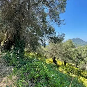 Земельный участок в Corfu, фото 5