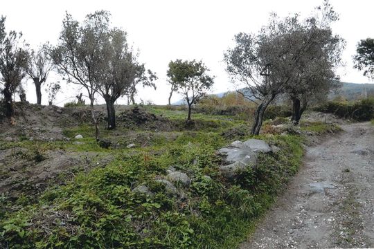 Земельный участок в Сесса-Аурунка