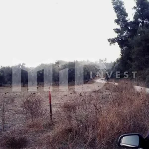 Земельный участок в Каллифея (Кассандра), фото 4