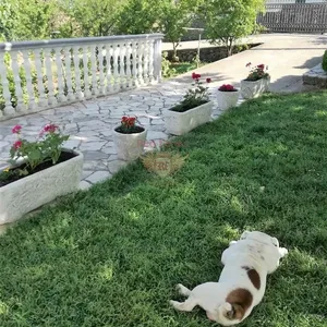 Дом в Улцинь, фото 3