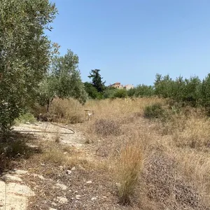 Земельный участок в Пано Армени, фото 3