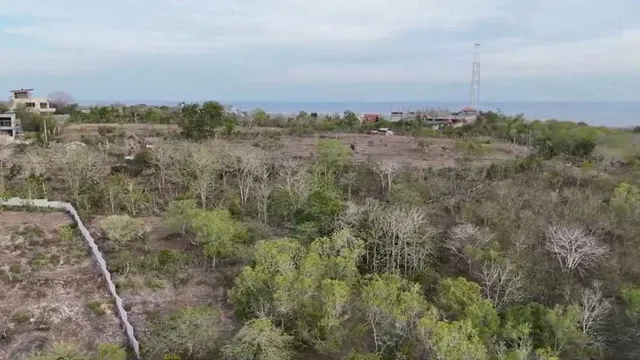 Земельный участок в Бали